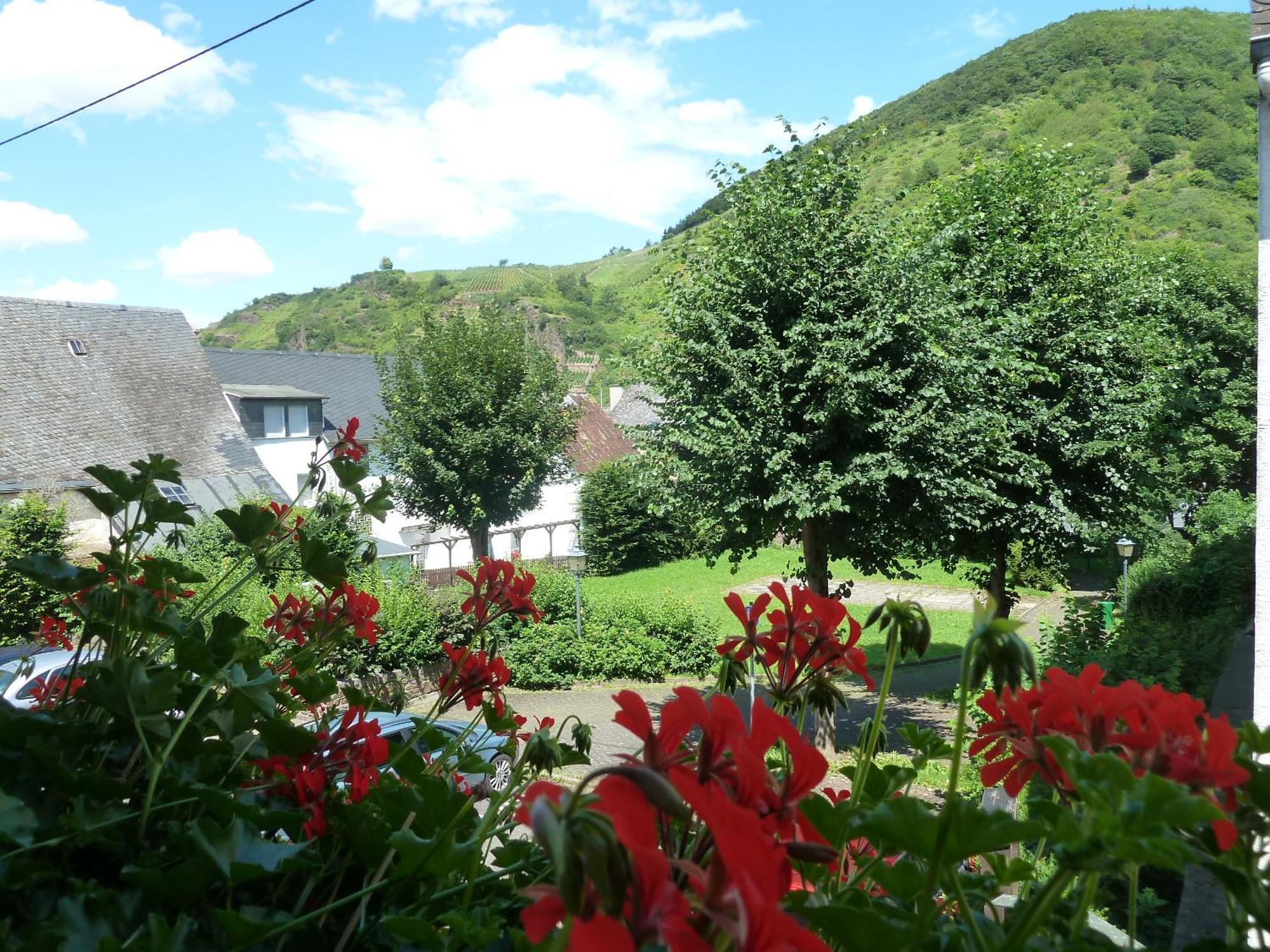Bed and Breakfast Alte Weinstuben Steinfelder Hof Garni Элленц-Польтерсдорф Экстерьер фото
